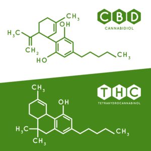 Quelle est la différence entre CBD et THC